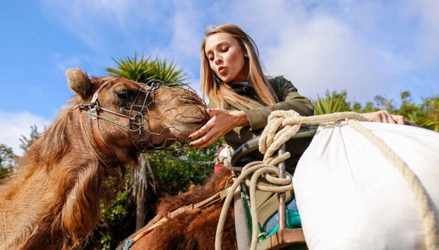Agadir Camel Ride - Foto 5