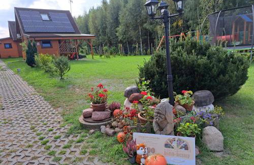 Domki Borowiackie nad brzegiem jeziora - Foto 41