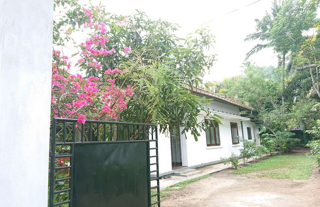 More Attractive Wonderful 1950 Mid-century Home With Another Newly Built House - Foto 23