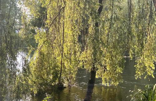 Riverside Studio - Foto 58