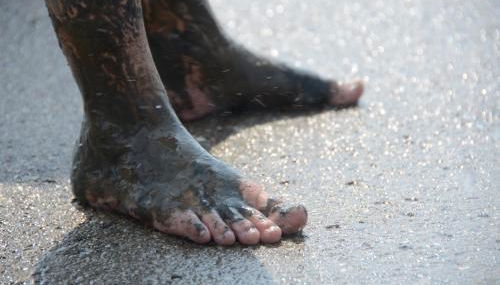 Wohnen Unter Reet - Foto 4