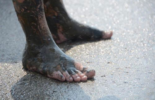 Wohnen Unter Reet - Foto 4