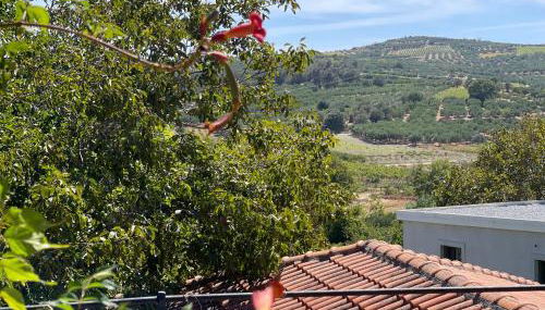 Accetto, Stone House With Pool - Foto 4