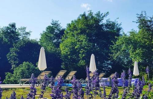 Luxury Villa Četiri Hrasta - Foto 10