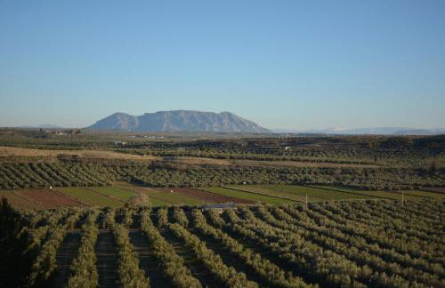 Casas Cueva con piscina y barbacoa - Foto 71