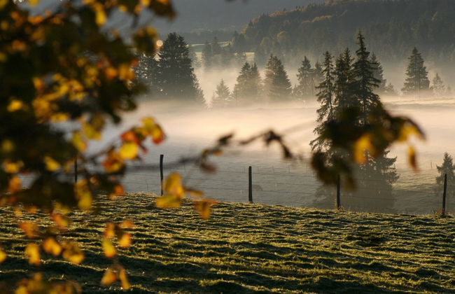Maison de vacances - Les Hirondelles - Foto 14