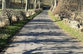 Samieston Lodge, near Jedburgh - Foto 12