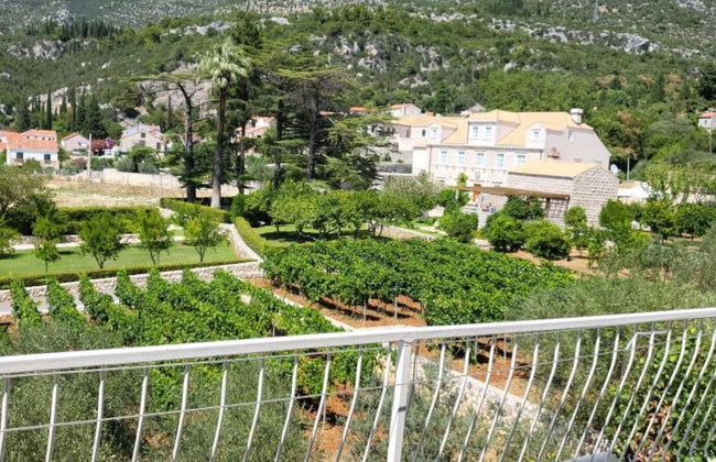 Apartments Villa Novak - Foto 45