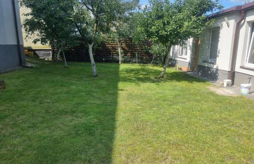 U Władzia - Foto 17