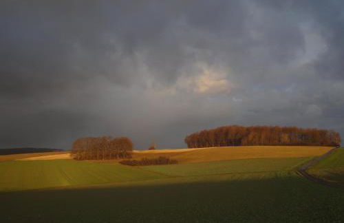 Holiday Home Moselle With Private Sauna - Foto 34