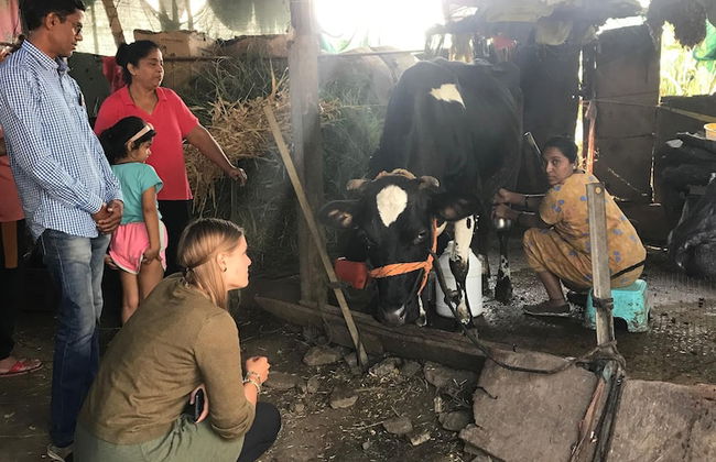 ingawale farmhouse - Photo 20