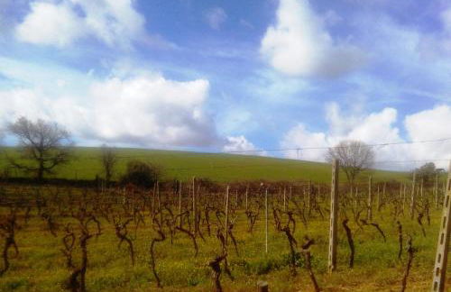 Agriturismo IL CANTINIERE - Foto 30