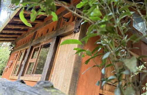 Casa da Árvore - Foto 19