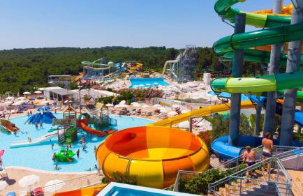 Vista OLIVO - Foto 29