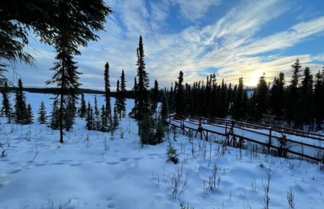 Moose Landing - Foto 63