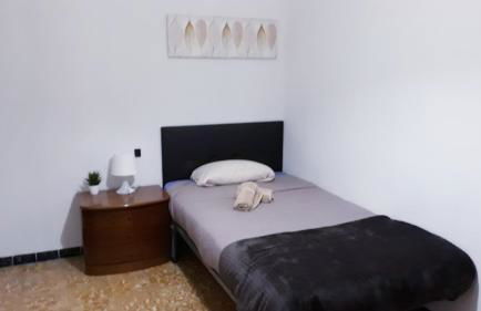 Centro Ciudad apartamento entero - Photo 14