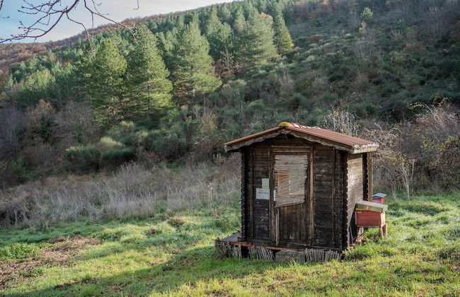 Il Capriccio del Papa - Photo 73