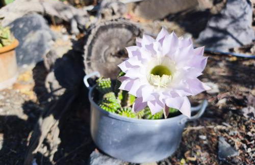 Casa Puerto de la Estaca - Foto 30