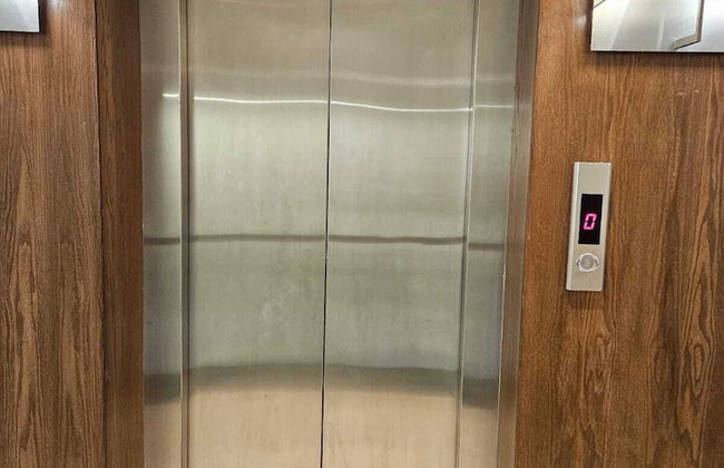 FLOWER1 ALMUGHRIZAT - Foto 6