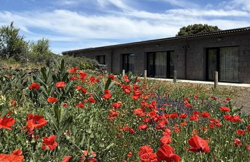 V.V. Verde Amanecer 4 - Foto 7