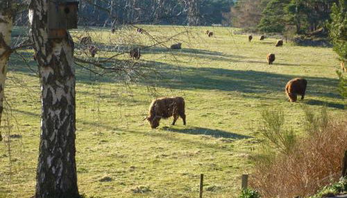 Camusmore House - Foto 3