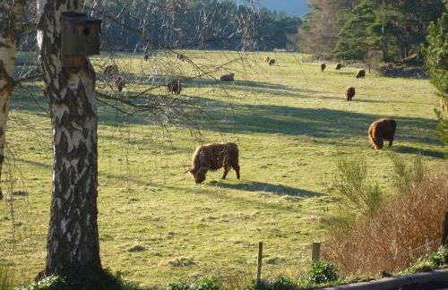 Camusmore House - Foto 3