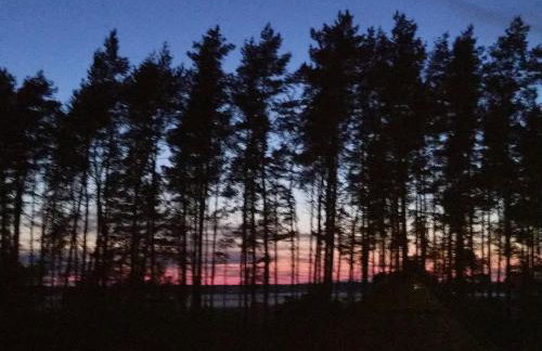 Sea the Blue Garden SPA Odargowo - Foto 30