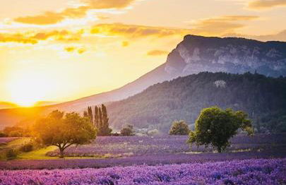 Le Tourmaline Duplex - Foto 65