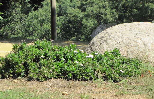 Agriturismo San Pietro - Photo 55