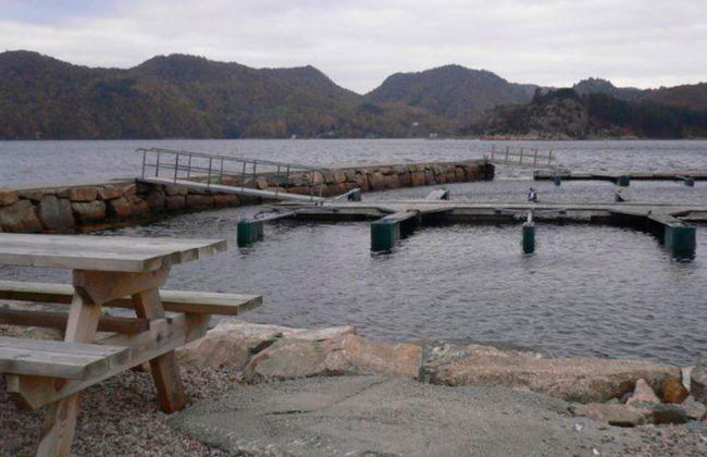 10 Person Holiday Home in Lindesnes-by Traum - Foto 16