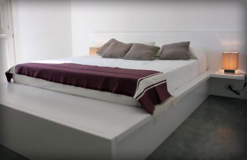 Terre di Senia - Foto 11