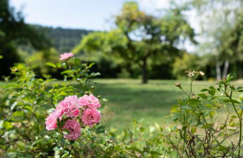 Das Alte Pfarrhaus - Photo 36