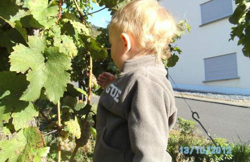 Gästehaus Heidi - Foto 43