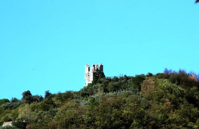 Casa Scola Agriturismo - Foto 60