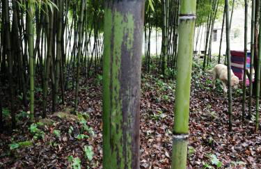 Gîte de l' ancienne métairie - Foto 8