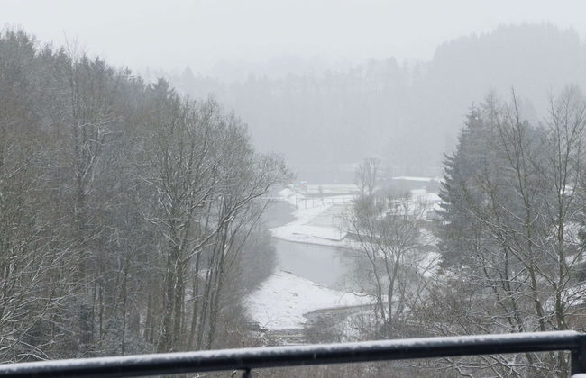 Apartment in Robertville Near Lake & Forest - Photo 21