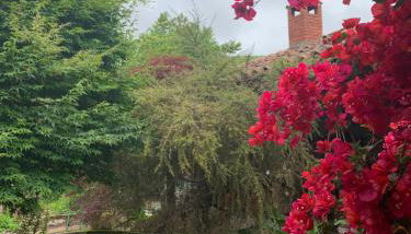 Casa Rural Erre Q Erre - Foto 5, Garden