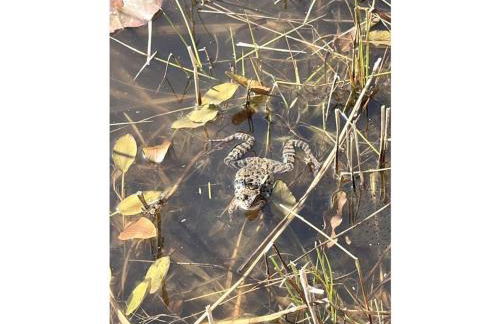 Unexpected-bochum Comfortable Vacation Home - Foto 44