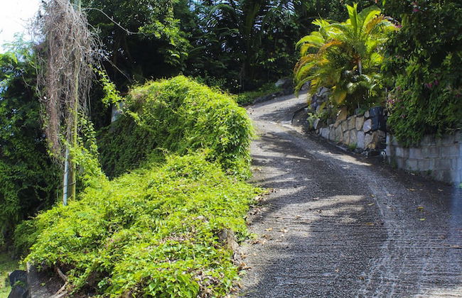 Stelia Seychelles - Foto 16