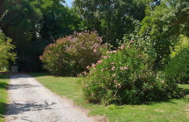 Rivière Retreat - Foto 10