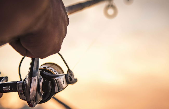 Reykjavik Fishing Trip - Foto 1