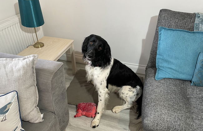 Fosfelle Cottages - Foto 26