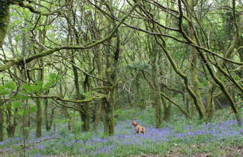 The Cottage-Uk32854 - Photo 24