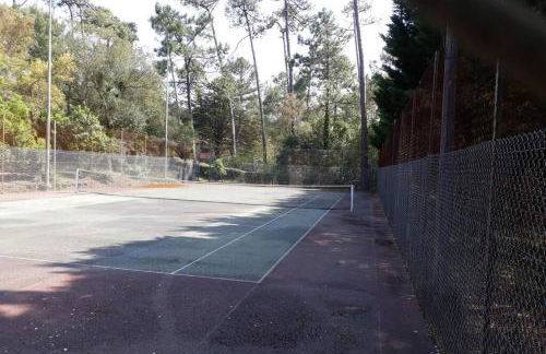 Appt Seignosse le Penon - plages commerces à pied - Foto 17