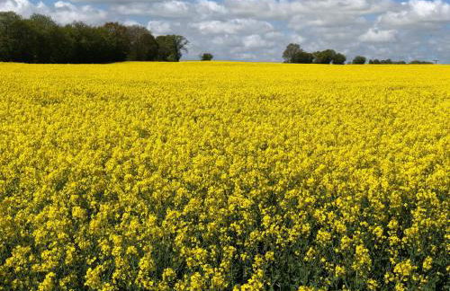 Apartment Dat Lütje 516 by Interhome - Foto 13