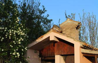 La collina dei ciliegi - Foto 16