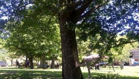 Agriturismo I Fondacci - Foto 4, Garden