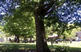 Agriturismo I Fondacci - Foto 4