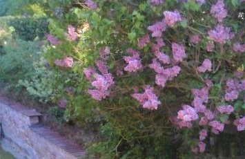 Landhaus Krummin - Foto 44