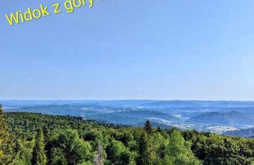 Domki Oaza Ciszy - Foto 11